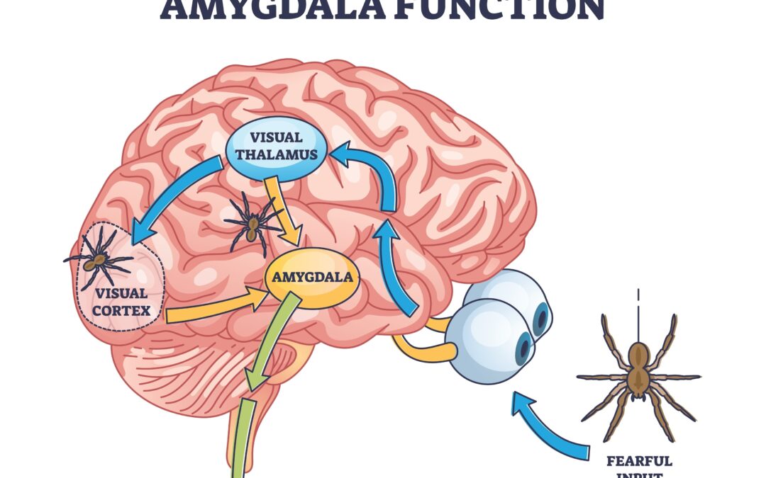 Oltre la dissociazione: quando l’abuso narcisistico diventa sabotaggio neurologico